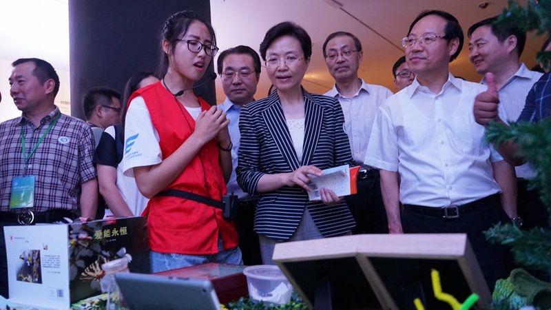 保护中华虎凤蝶项目展示 保护中华虎凤蝶项目展示